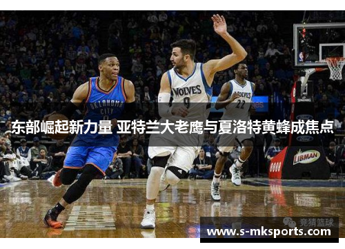 东部崛起新力量 亚特兰大老鹰与夏洛特黄蜂成焦点