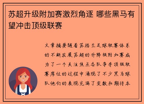 苏超升级附加赛激烈角逐 哪些黑马有望冲击顶级联赛